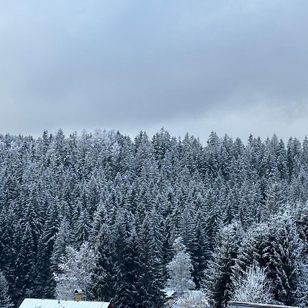 Penzion Verde Rosa Harrachov Exteriör bild