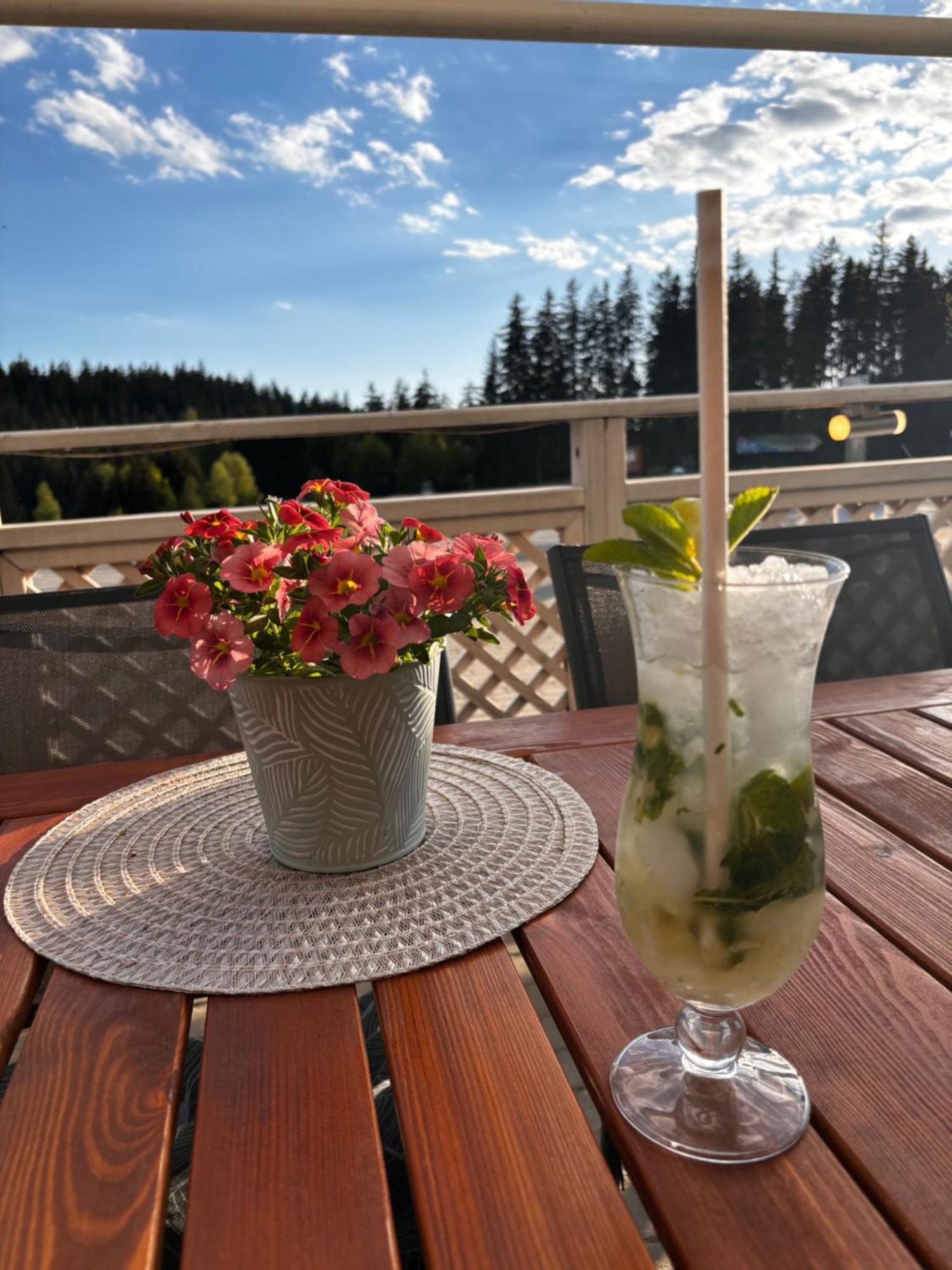 Penzion Verde Rosa Harrachov Exteriör bild