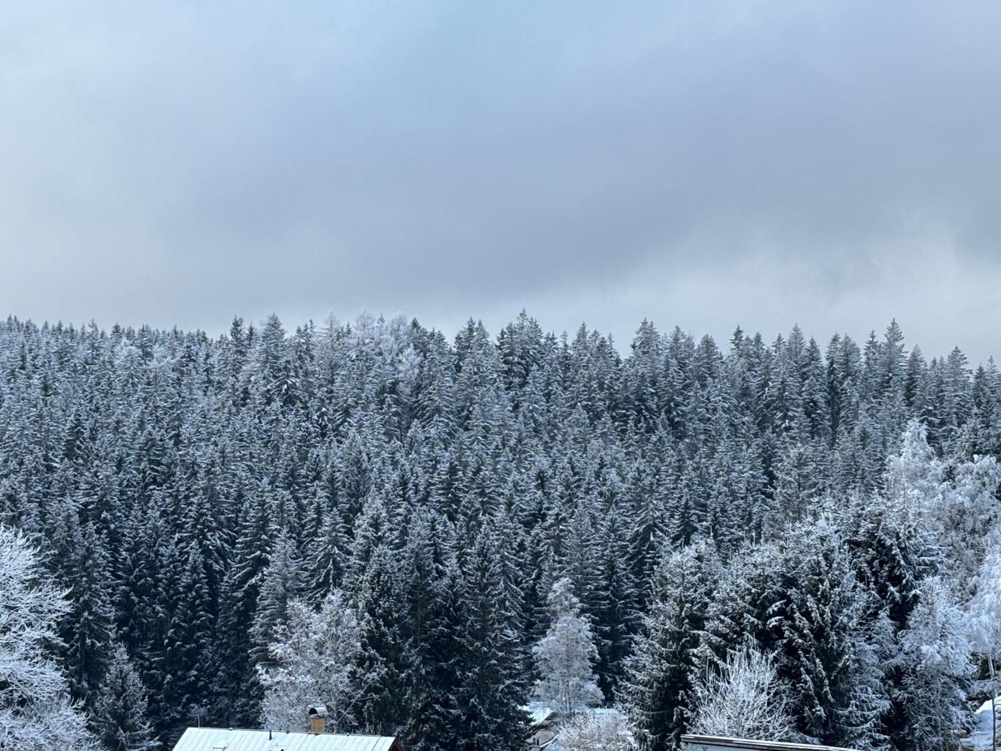 Penzion Verde Rosa Harrachov Exteriör bild