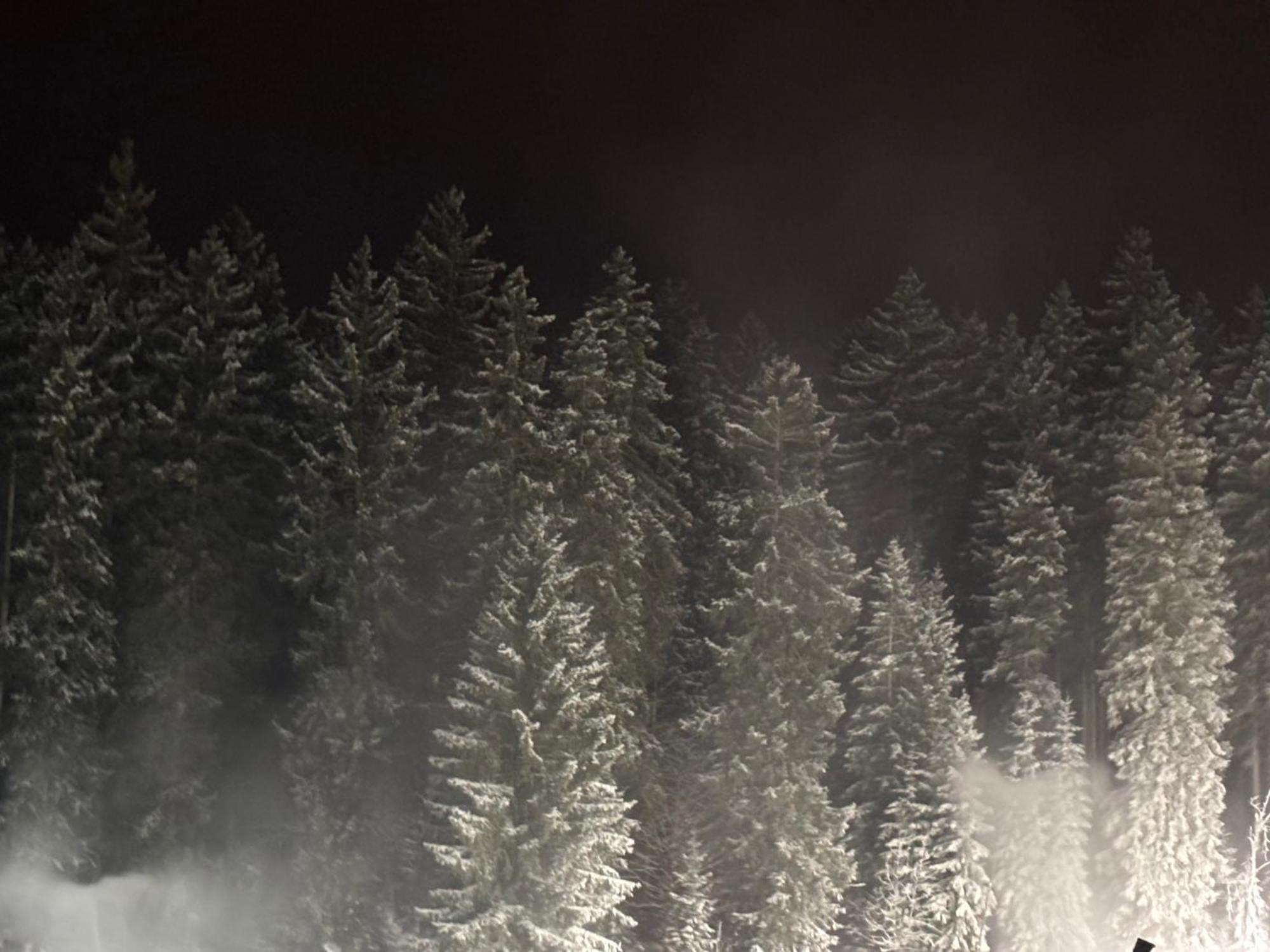Penzion Verde Rosa Harrachov Exteriör bild