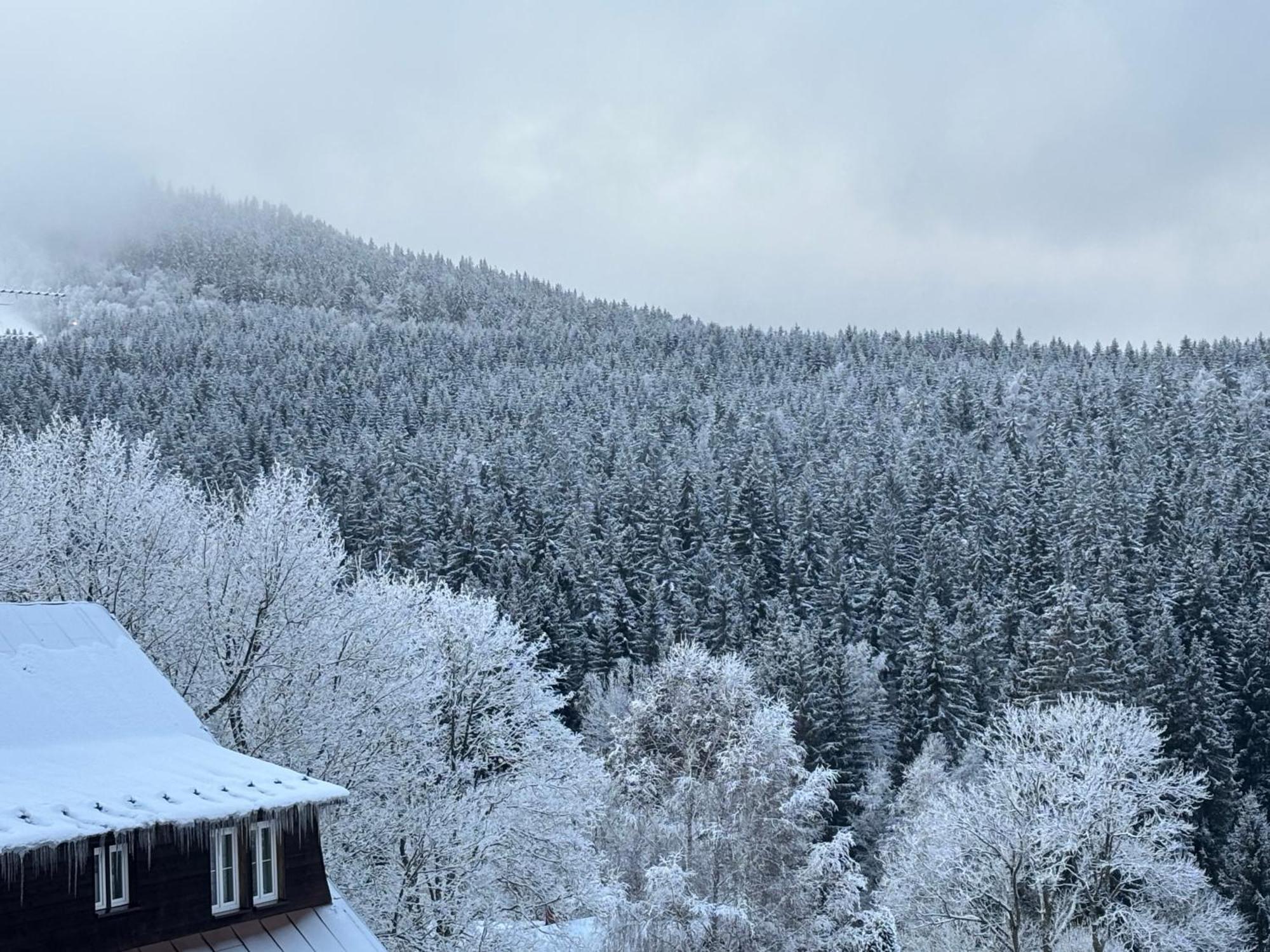 Penzion Verde Rosa Harrachov Exteriör bild